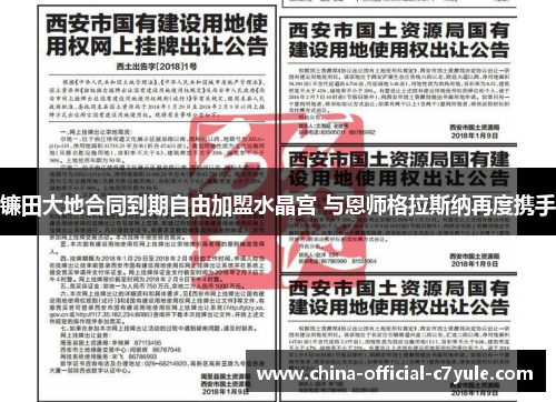 镰田大地合同到期自由加盟水晶宫 与恩师格拉斯纳再度携手