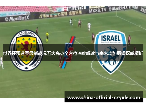 世界杯预选赛最新战况五大亮点全方位深度解读与未来走势展望权威精析